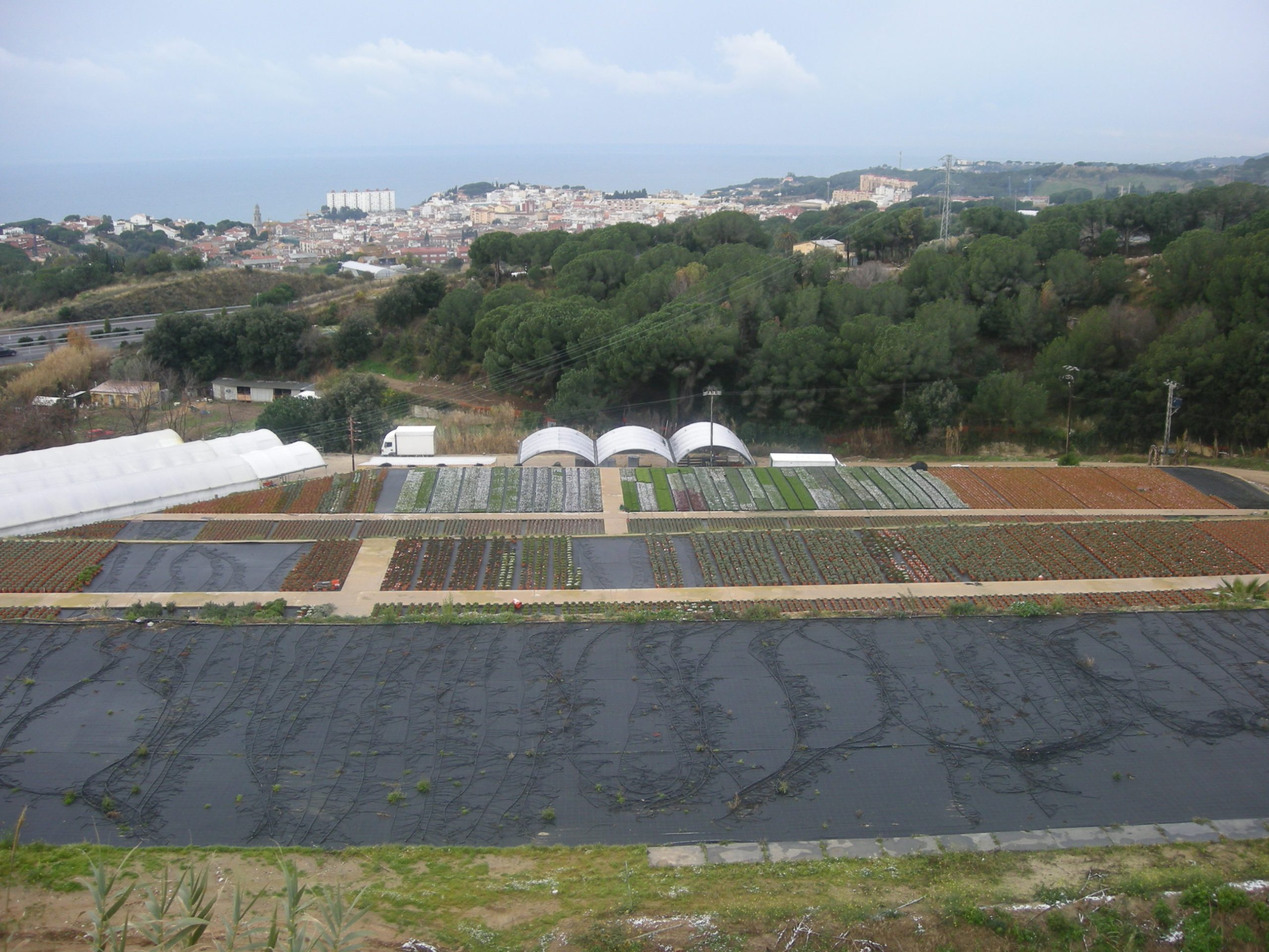 Terreno en venta – Finca Rustica en Sant Cebrià de Vallalta