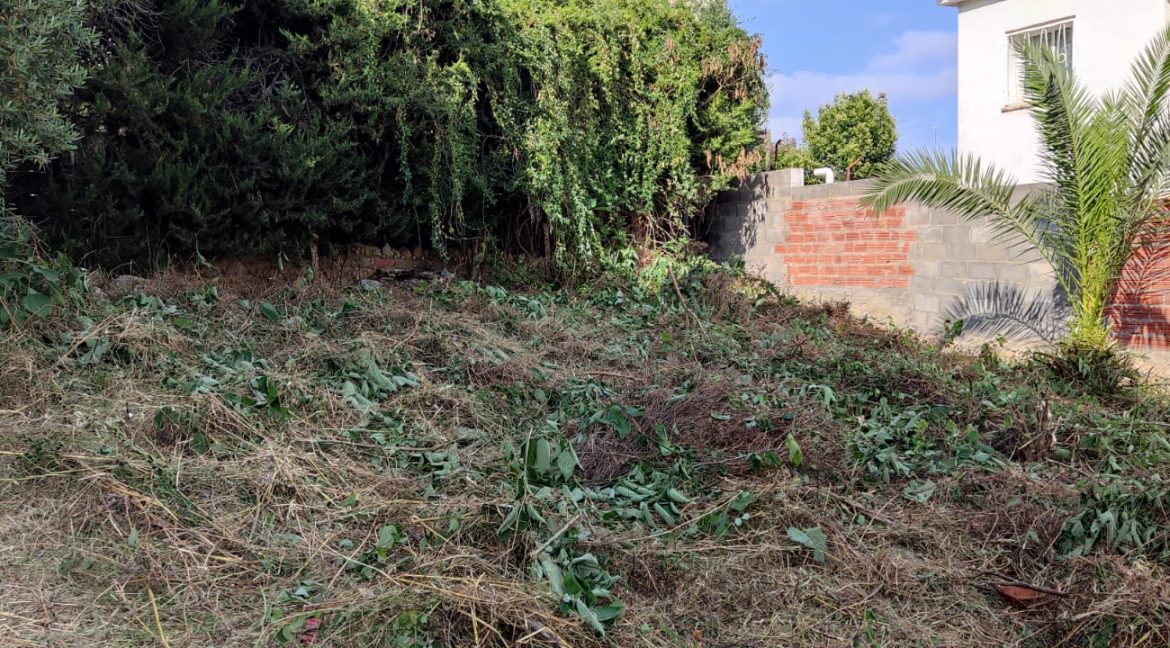 WhatsApp Image 2025-07-09 at 09.01.17 (1)