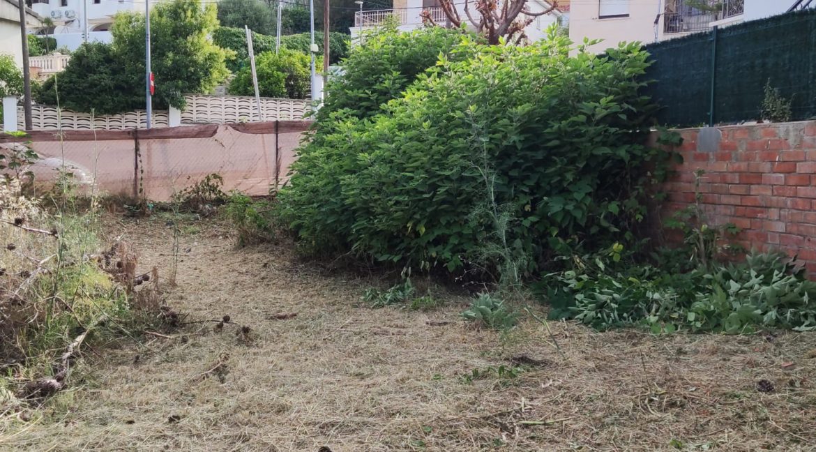 WhatsApp Image 2025-07-09 at 09.01.18