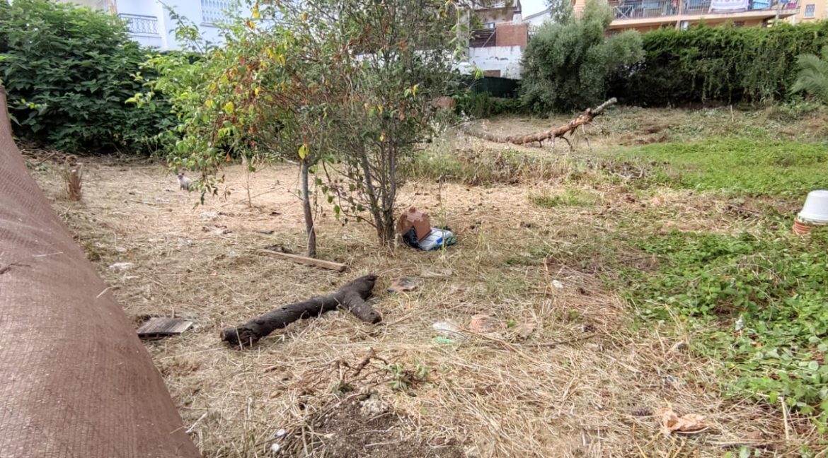 WhatsApp Image 2025-07-09 at 09.01.18 (2)