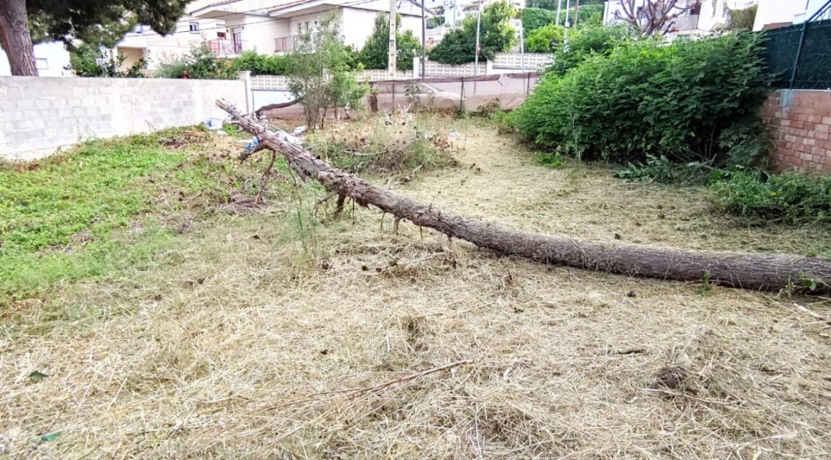 WhatsApp Image 2025-07-09 at 09.01.19