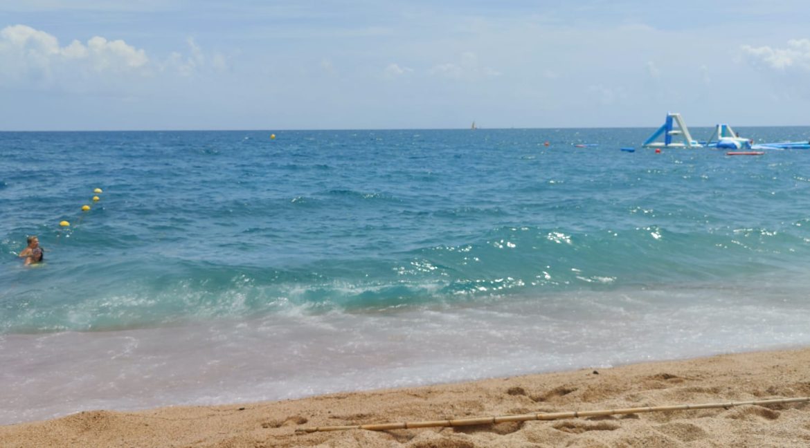 0c4225fc-61a6-459a-b5c7-1c6238013d8e