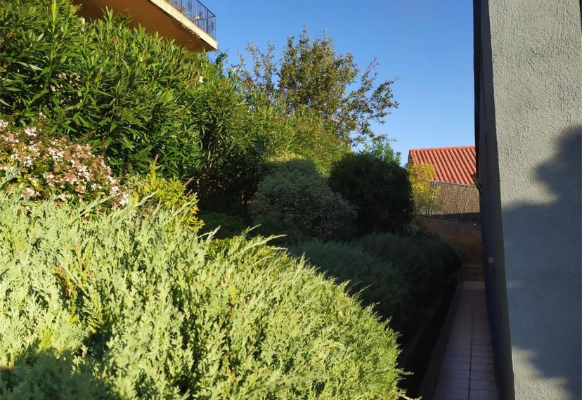 WhatsApp Image 2025-08-25 at 11.47.35