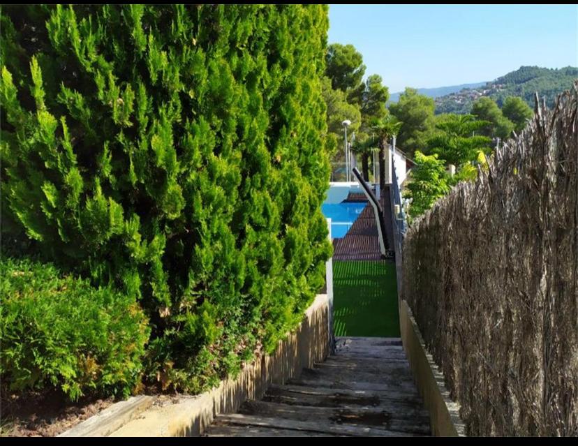 WhatsApp Image 2025-08-25 at 11.47.38 (1)