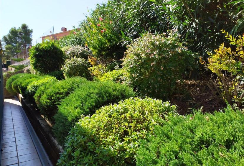 WhatsApp Image 2025-08-25 at 11.47.38 (2)