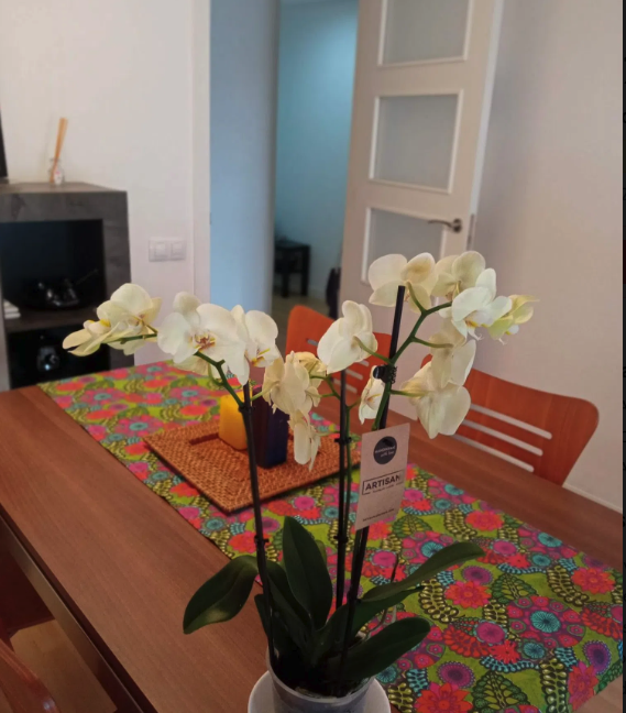 Captura de pantalla 2025-10-01 a las 16.04.44