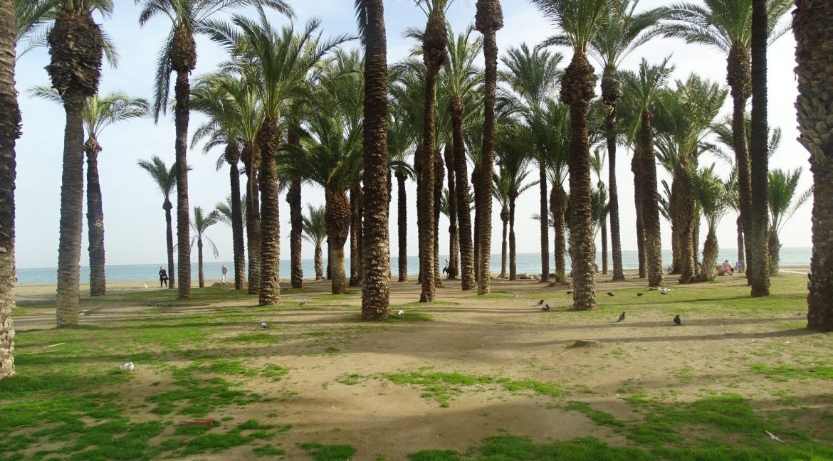 WhatsApp Image 2025-10-23 at 09.07.56 (2)