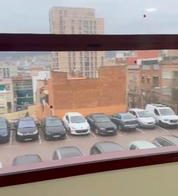 WhatsApp Image 2026-01-28 at 13.38.22 (12)